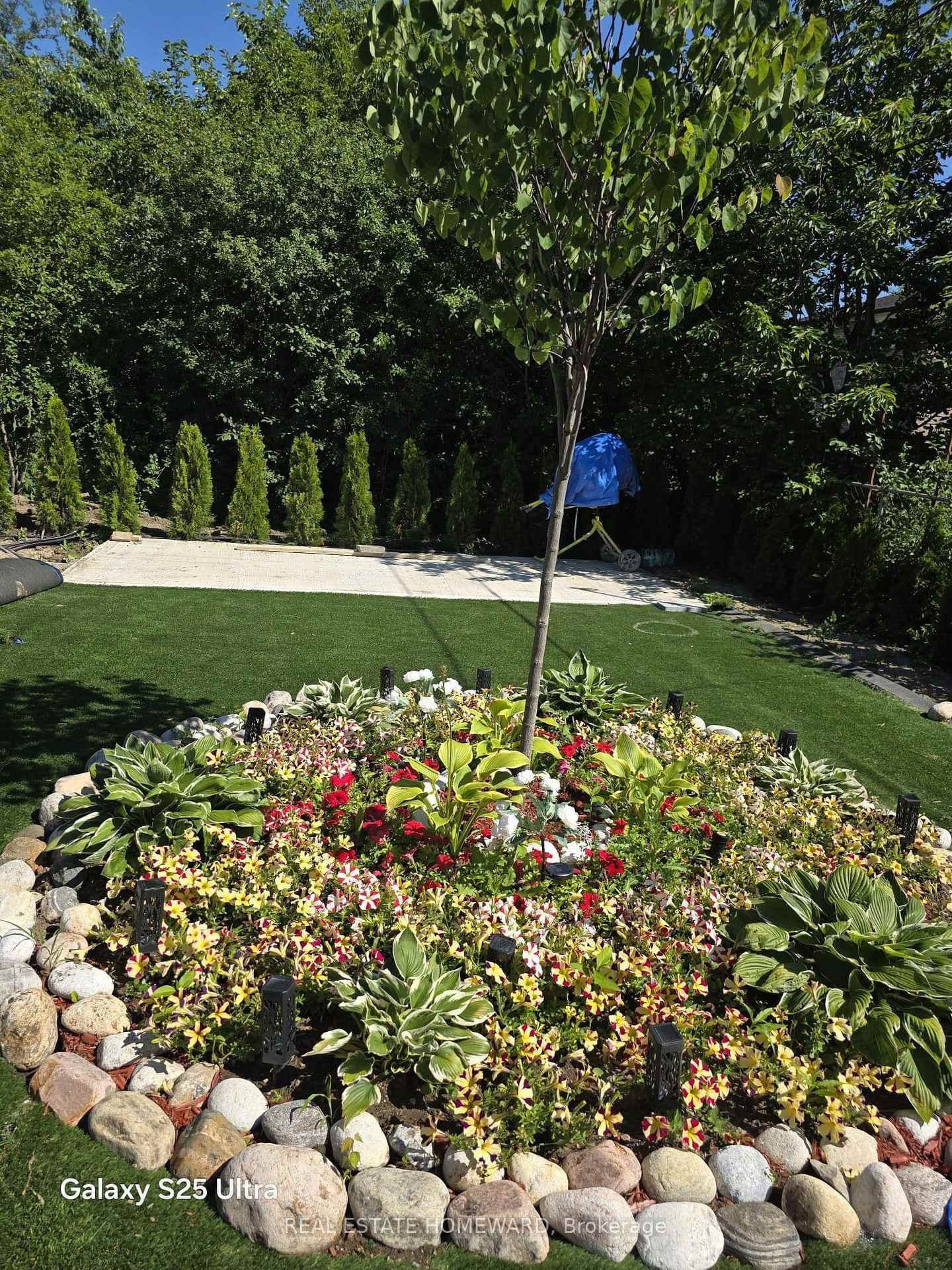 Burke Street level in Toronto · Newtonbrook West — photo 3