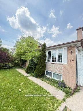 Photo of Patricia Avenue in Toronto · Newtonbrook West