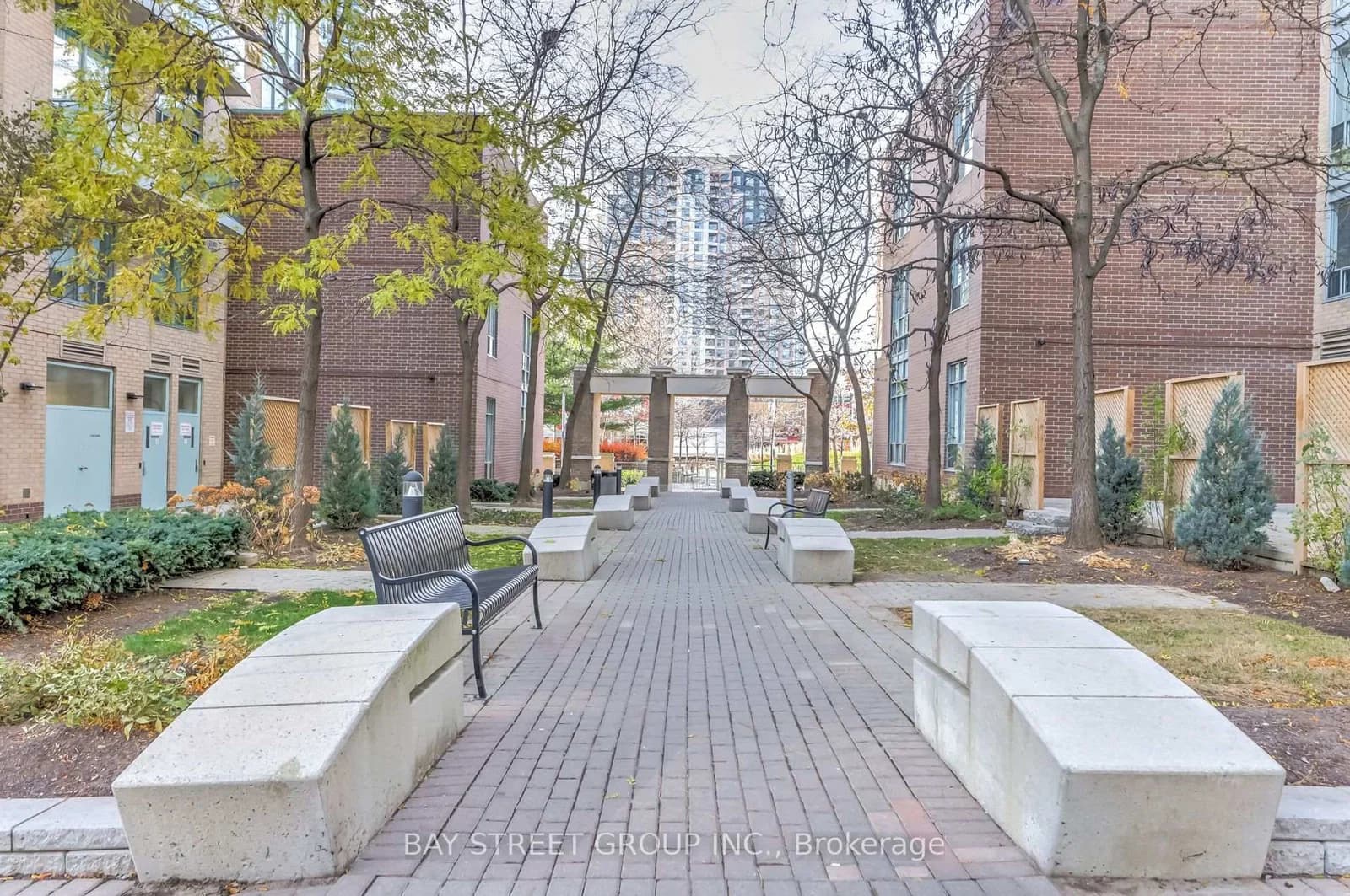 Olive Avenue in Toronto · Willowdale East — photo 3