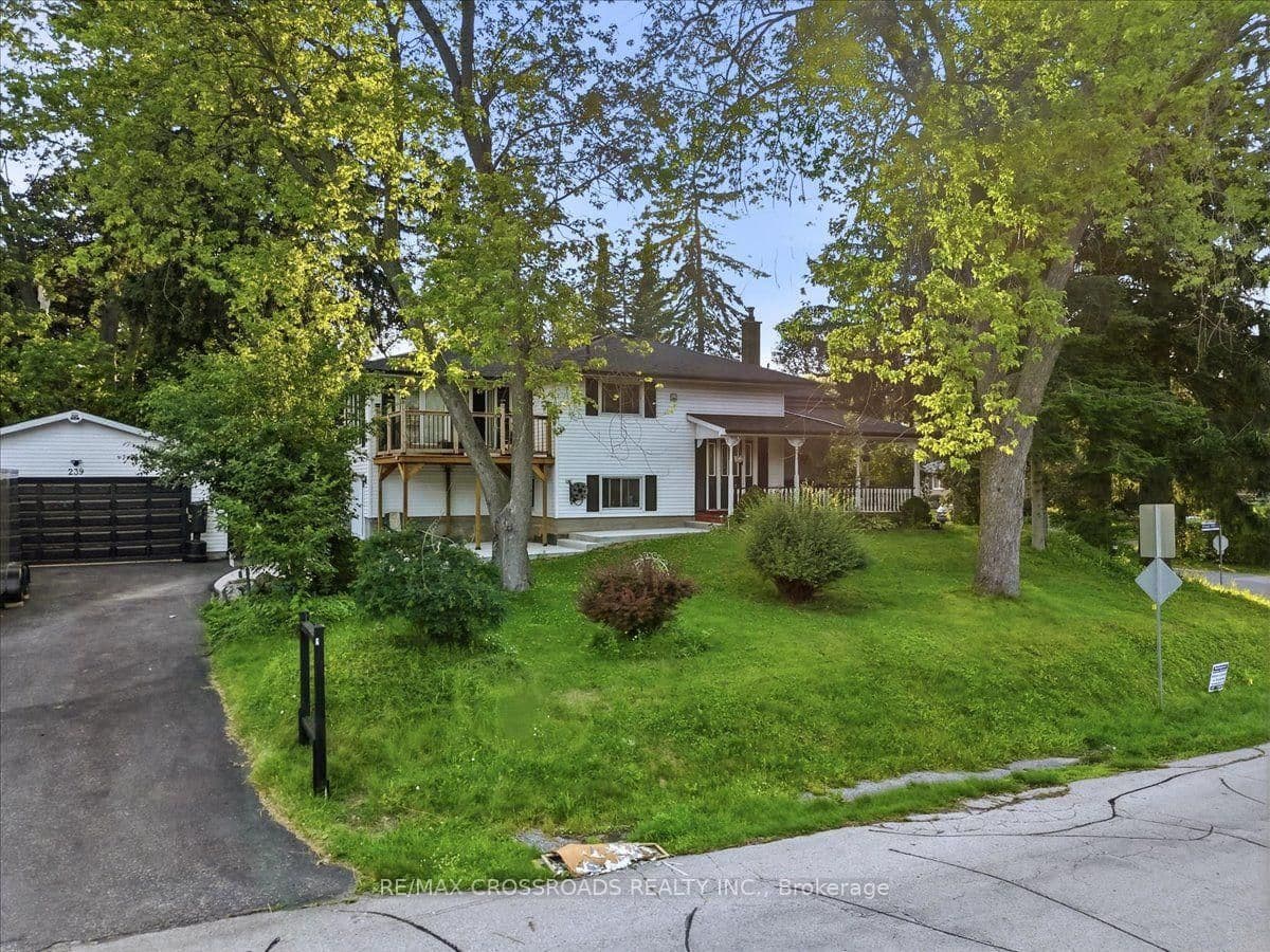 Island Road in Toronto · Rouge E10 — photo 2
