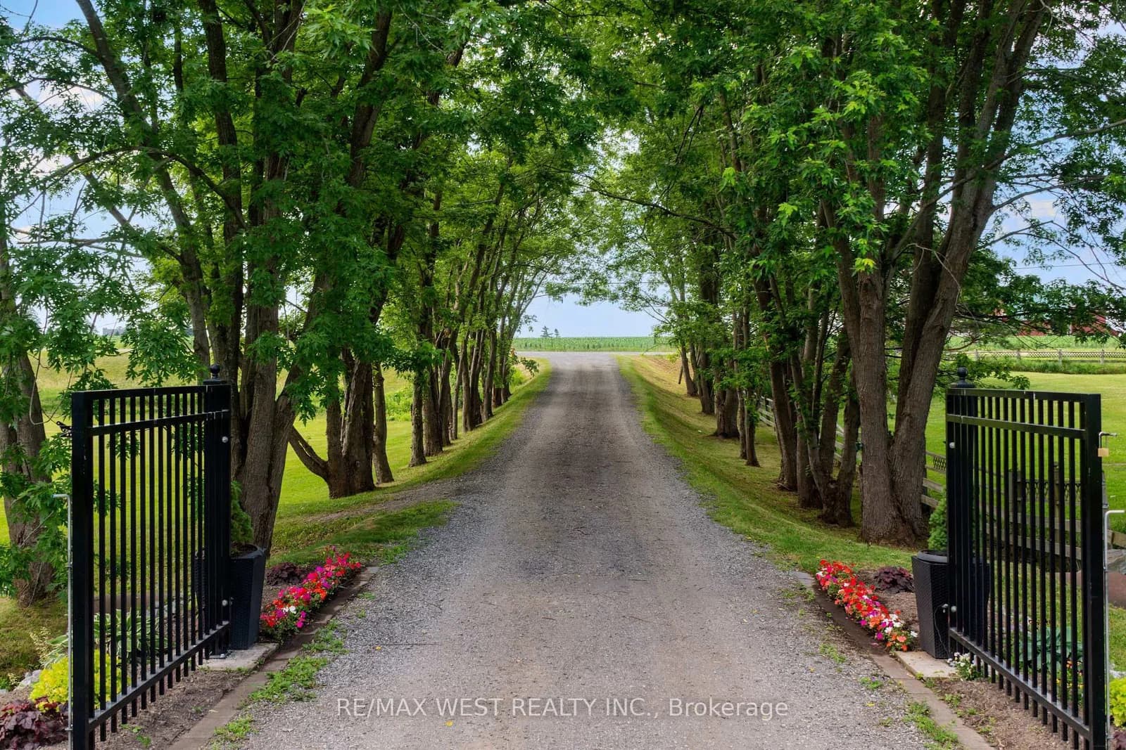 Highway 9 Road in New Tecumseth · Rural New Tecumseth — photo 3