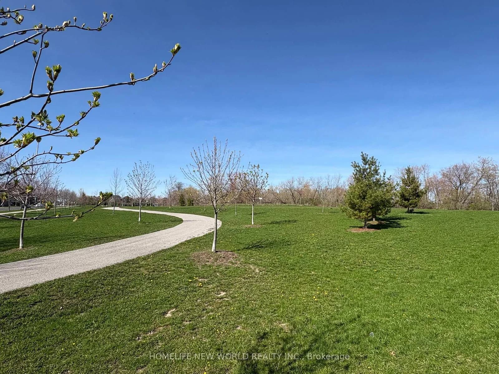 Roy Grove Way in Markham · Greensborough — photo 3