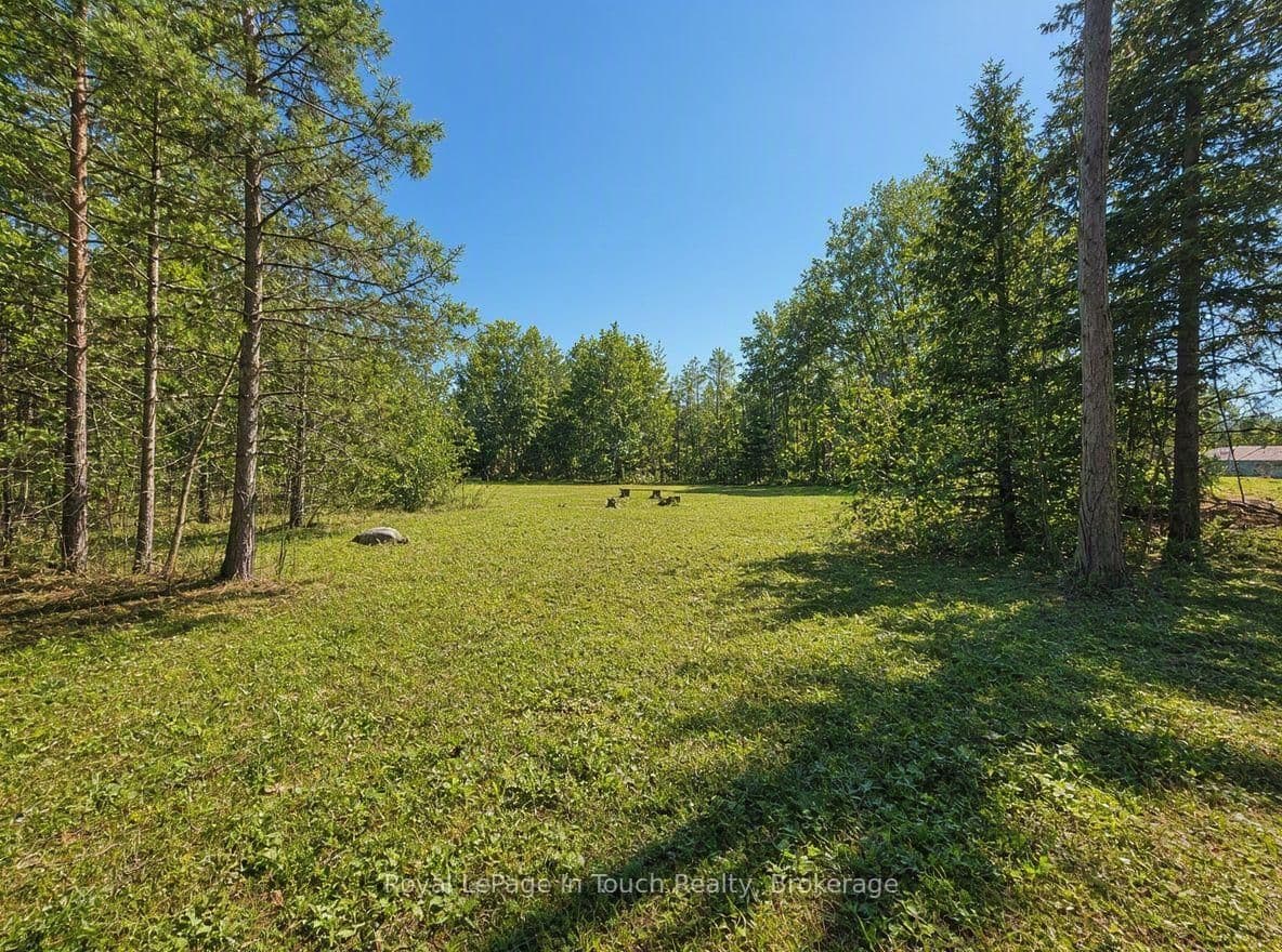 Bass Bay Drive in Tay · Rural Tay — photo 3