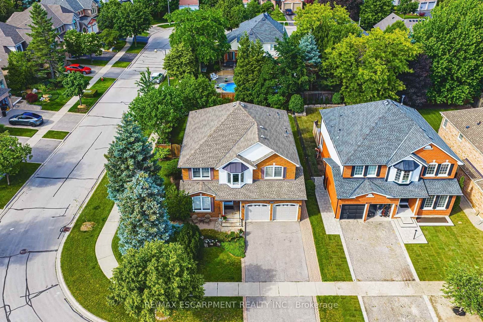 Vermont Crescent in Burlington · Rose — photo 2