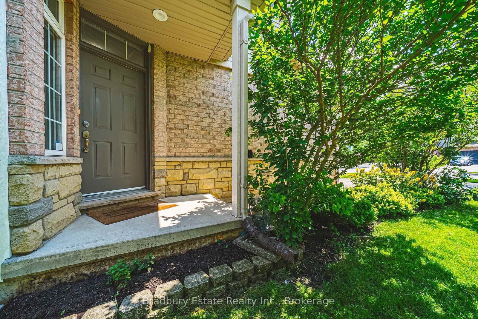 Treeland Street in Burlington · Freeman — photo 3