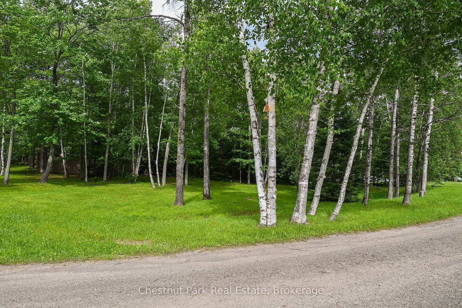 Willard's Lane in Parry Sound Remote Area · Lount — photo 2