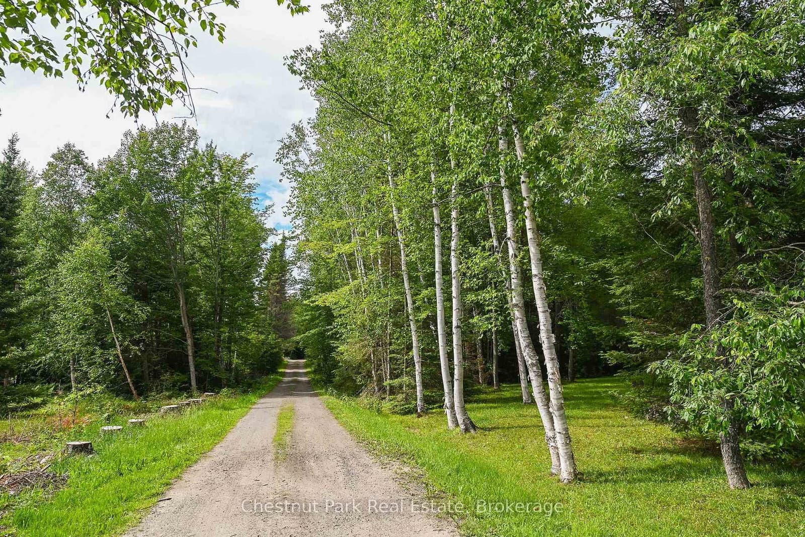 Willard's Lane in Parry Sound Remote Area · Lount — photo 3
