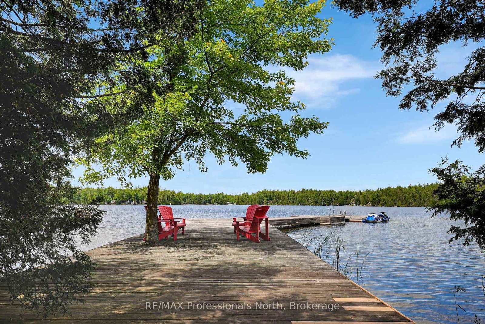 East Clear Bay Road in Trent Lakes · Trent Lakes — photo 3