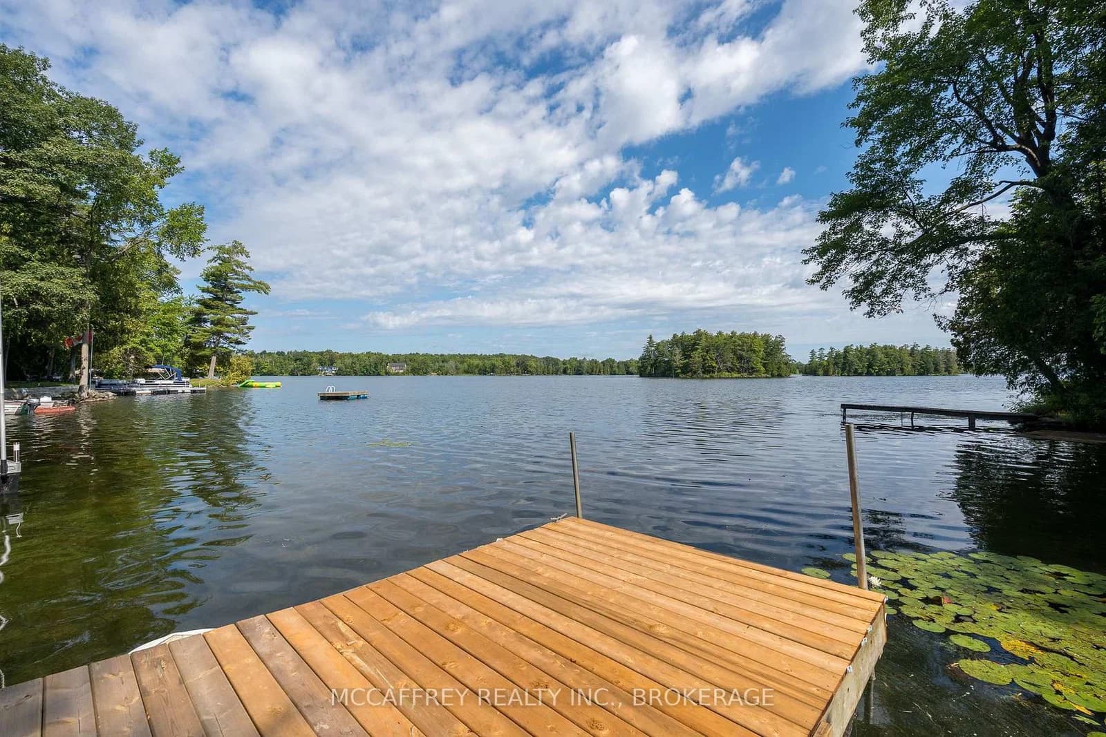 Ernie Lane in Battersea · Frontenac South — photo 3
