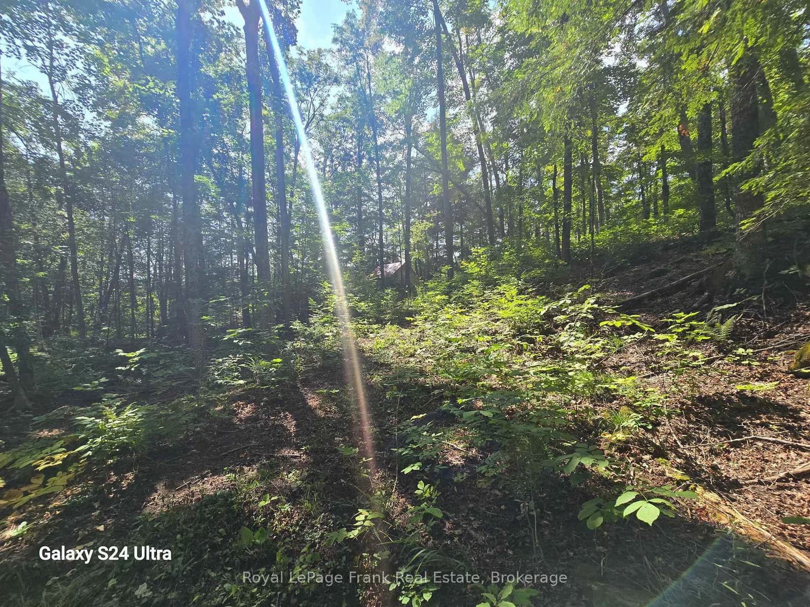 PT LT 17-18 County Road 507 in Trent Lakes · Trent Lakes — photo 2